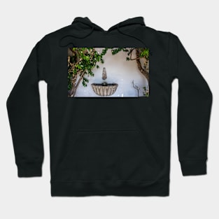 Lisbon Fountain Hoodie